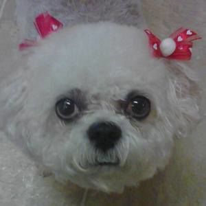 Meet your Posher, Audra